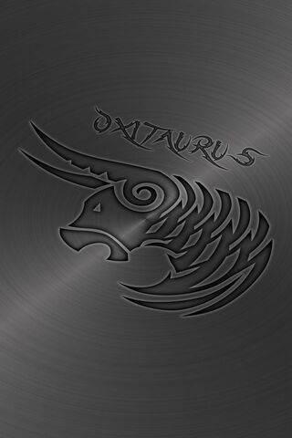 Sleek Elegance: The Stainless Steel Wall