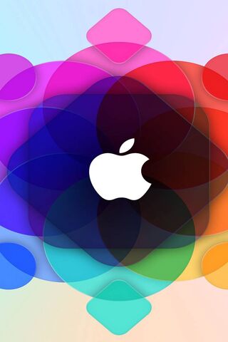 The Colorful Evolution ..