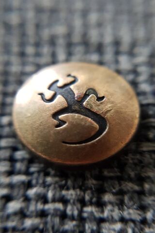 The Enigmatic Macro Wallet Emblem 🦎✨