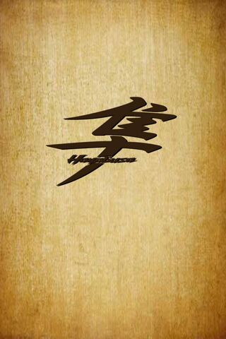 The Spirit of Hayabusa:..
