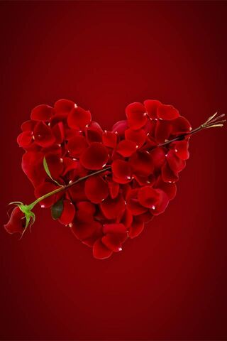 Romantic Blooms: The Petal Heart