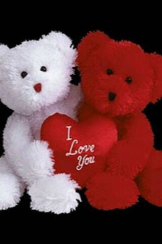 Cuddly Companions of Lo..