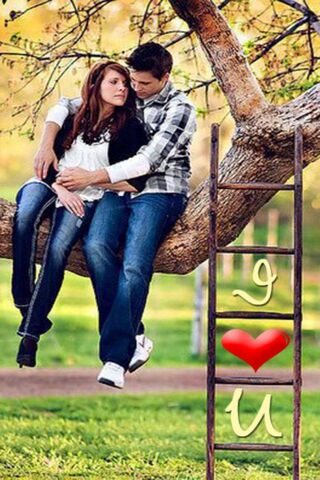 Love in the Air 🌳❤️