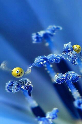 Whimsical Wonders: Smileys in Bloom 🌼😊