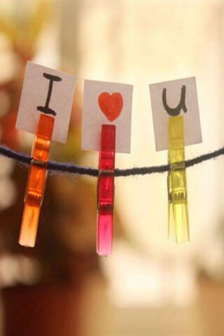 Love in Every Color ❤️