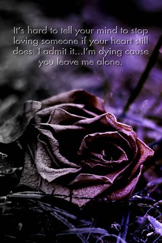 The Weight of Unrequited Love