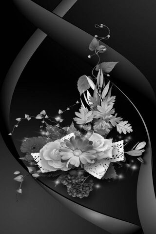 Elegance in Monochrome
