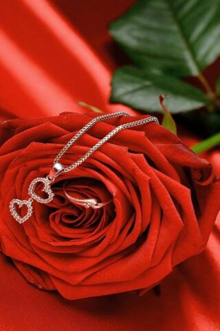 Hearts Entwined: A Love Story in Red 🌹❤️