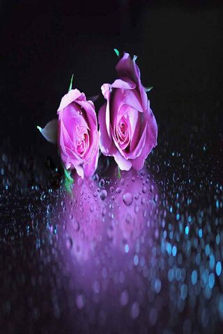 Eternal Blossoms 🌹✨