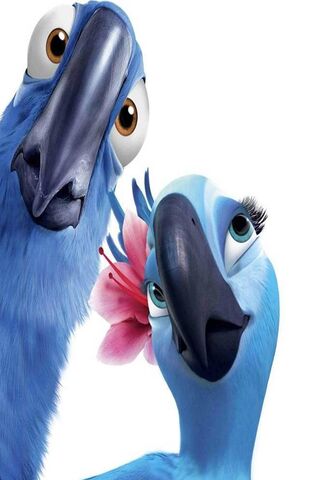 Bluetiful Lovebirds 💙🌺