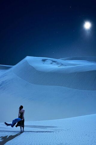 Moonlit Solitude 🌙