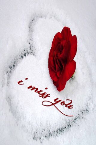 Whispers of Longing 🌹❄️