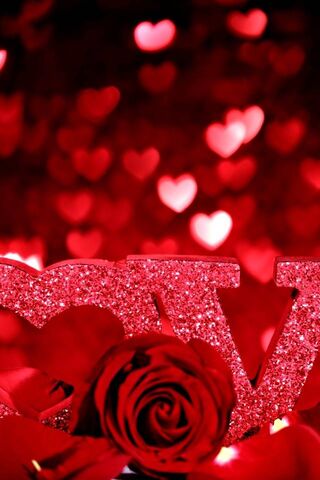Love in Bloom: A Sparkling Romance 🌹✨