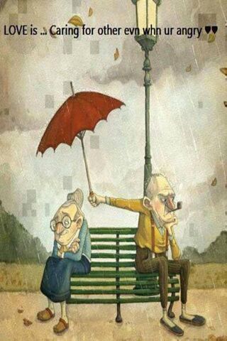 Umbrella of Understandi..