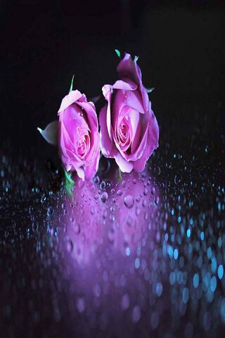Eternal Blooms: A Love Story in Petals 🌹✨