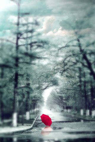 Solitude in the Rain 🌧️❤️
