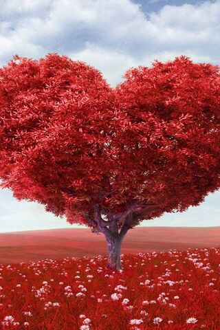 Love Tree