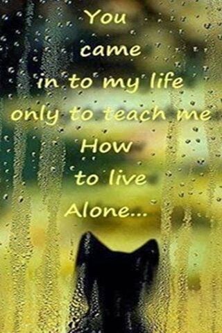 Embracing Solitude 🌧️🐾