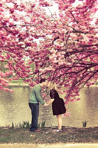 Blossoms of Love 🌸❤️