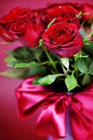 Romantic Blooms: A Bouquet of Love 🌹❤️