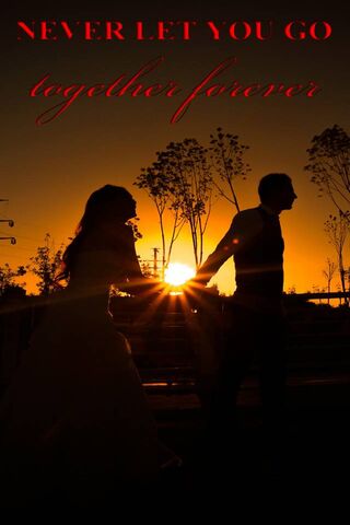 Eternal Embrace 🌅