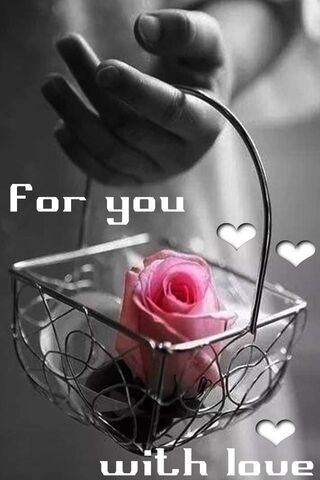 A Heartfelt Gift 🌹