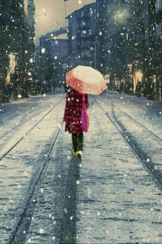Solitude in the Snow