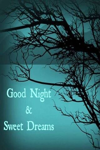 Nighttime Whispers 🌙✨