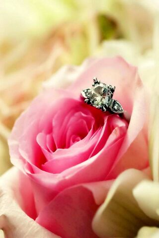 Blossoms of Love: A Ring's Embrace 🌹💍