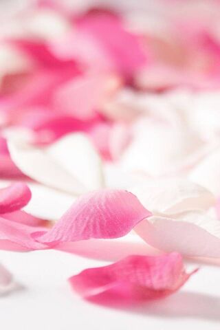 Whispers of Romance: A ..