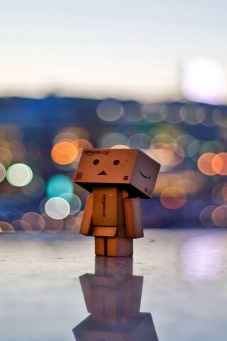Solitary Moments with Danbo 🌆