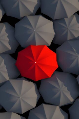 A Splash of Color in a Sea of Gray 🌧️☂️