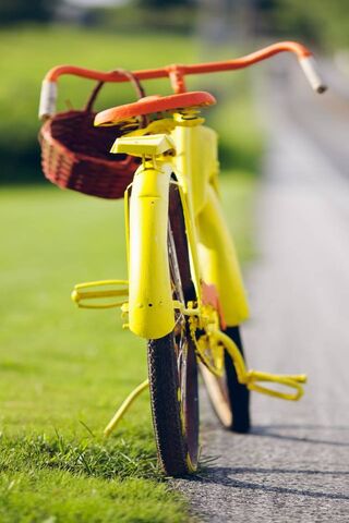 Sunny Rides: A Summer Adventure 🚴 ☀️