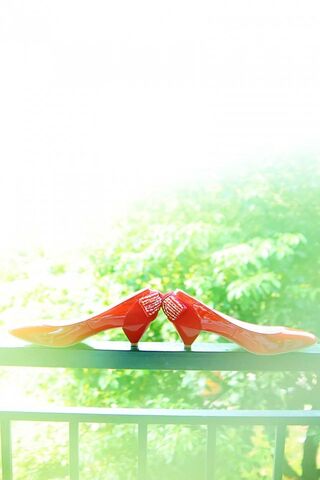 Dazzling Red Elegance