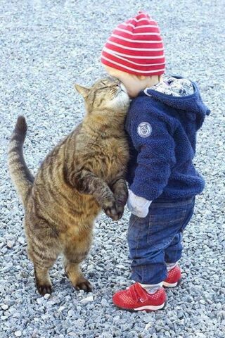 Paws and Playful Kisses! 🐾❤️