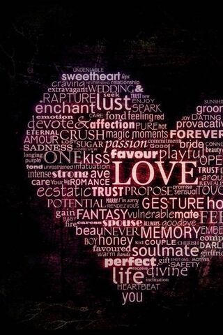 The Heart of Affection 💖