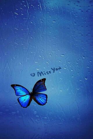 Whispers of Longing 🦋💙
