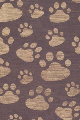 Whiskers and Wonders: The Paw Print Pattern
