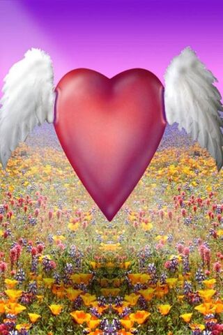 Wings of Love: A Heart in Flight 💖🕊️