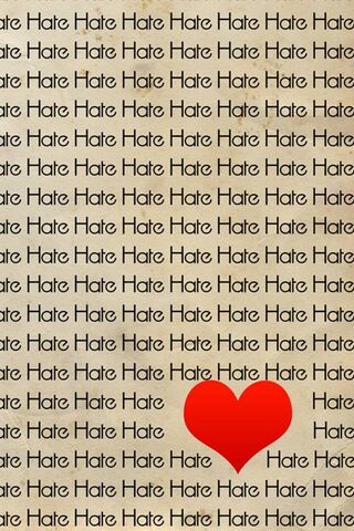 Love Amidst the Hate ❤️