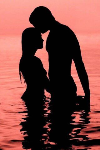 Sunset Serenade: Love i..