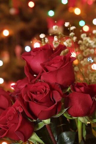 Romantic Blooms: A Cele..