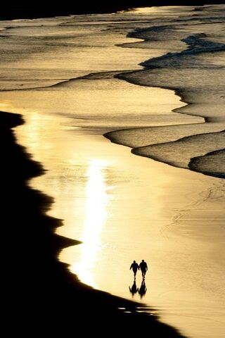 Golden Dreams by the Sh..