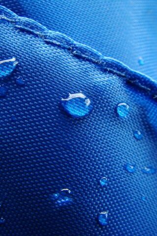 Raindrops on Blue Bliss..