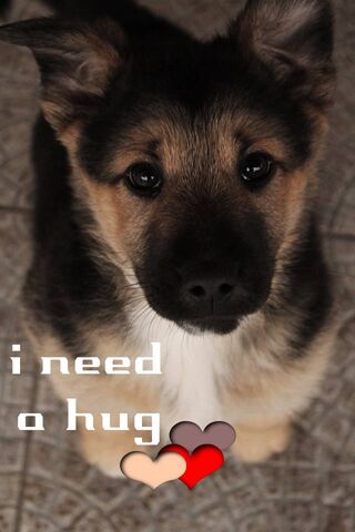 A Need A Hug