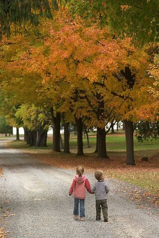 Autumn Bonds: A Walk Through Nature 🍂👫