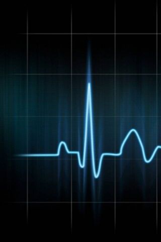 Rhythm of Life: The Heartbeat