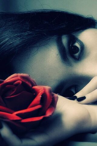 Whispers of the Heart ❤️