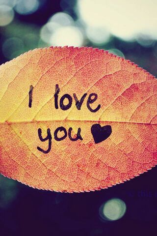 Nature's Love Note 🍂❤️