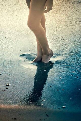 Whispers of Love by the..